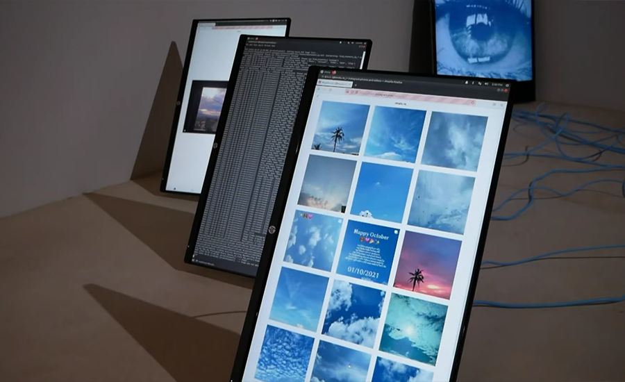 close-up of bot-network